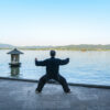 The Art of Chinese Wushu: Grace and Power Combined